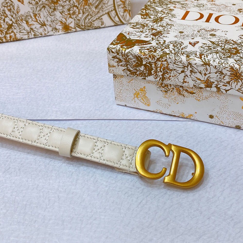 D10r 20mm belt