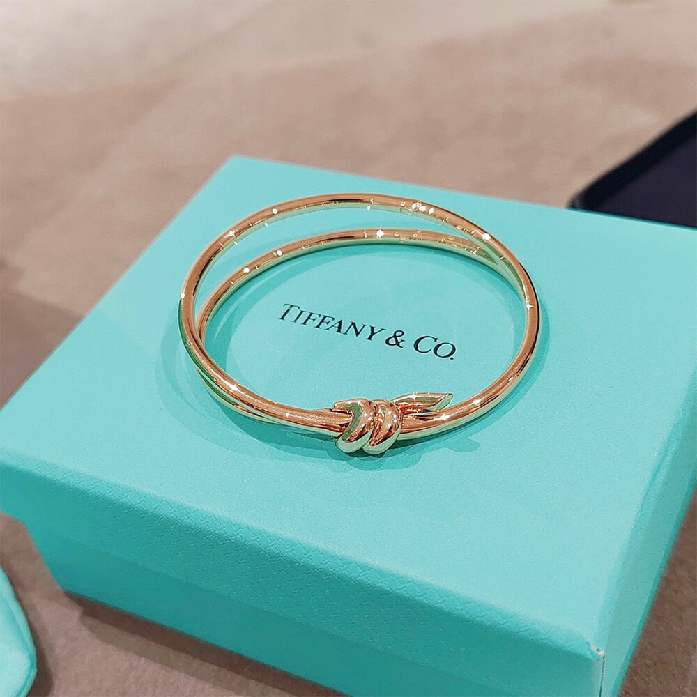 T*f*ny Knot Double Row Hinged Bangle
