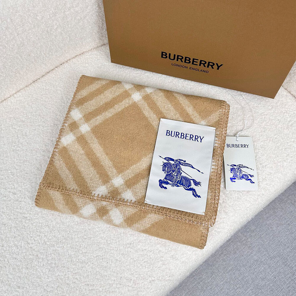 Bv*b*rry Check Cashmere Scarf