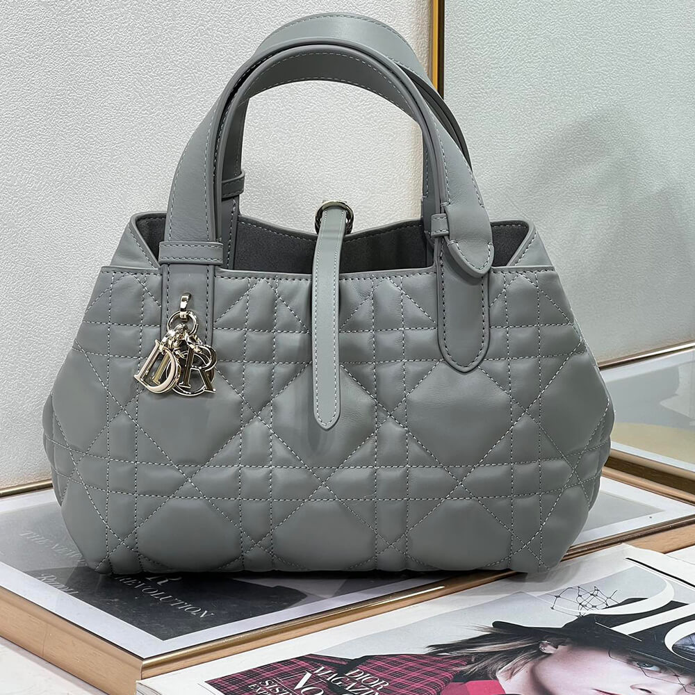 Small D10r TOUJOURS BAG