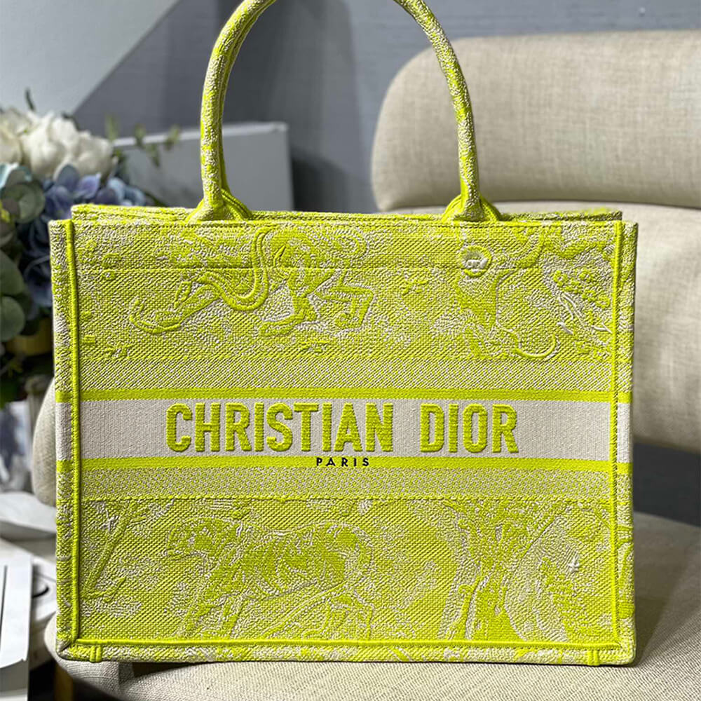SMALL D10r BOOK TOTE