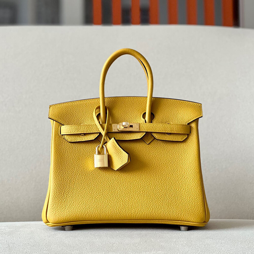 H**me5 BIRKIN BAG 25