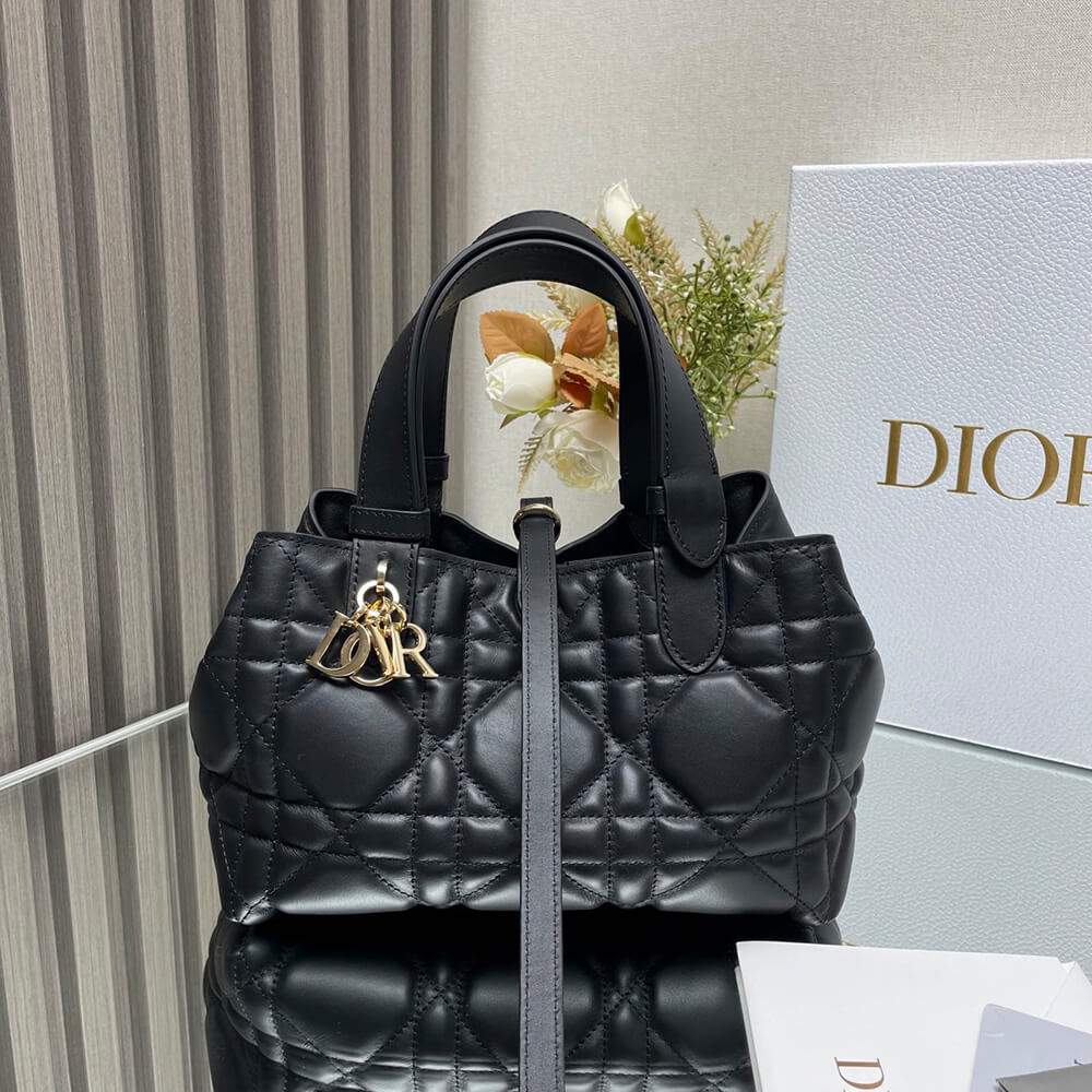 SMALL D10r TOUJOURS BAG(HIGH-END GRADE)