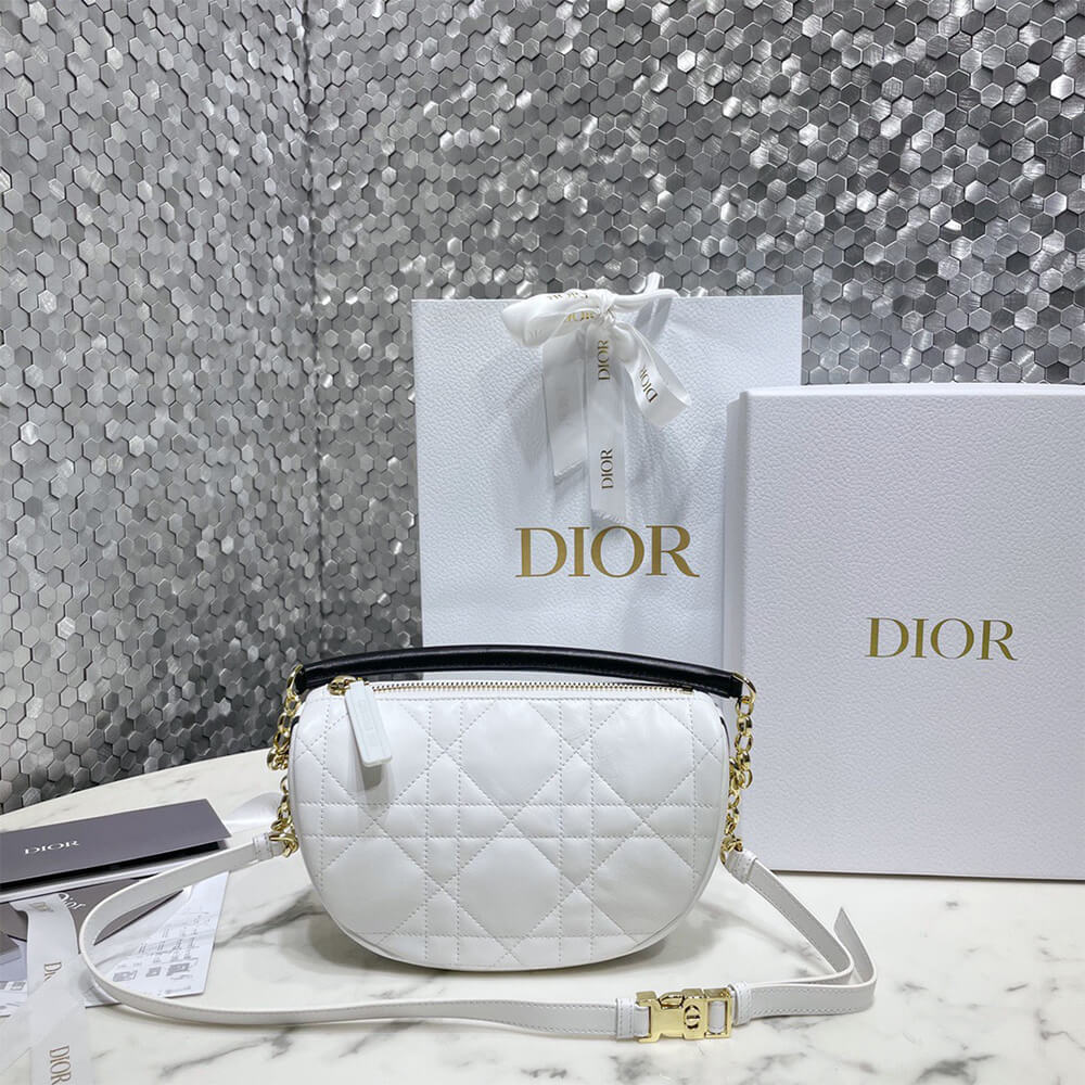 SMALL D10r VIBE HOBO BAG