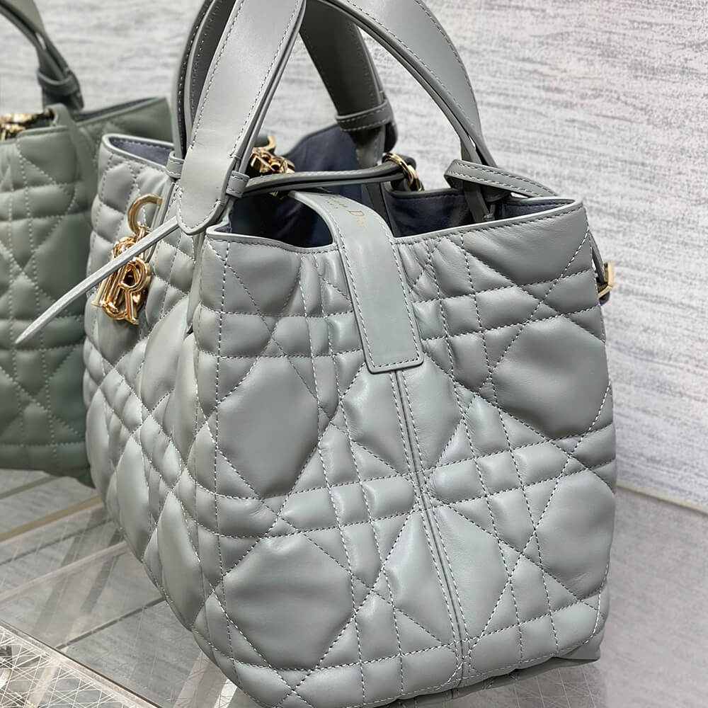 MEDIUM D10r TOUJOURS BAG