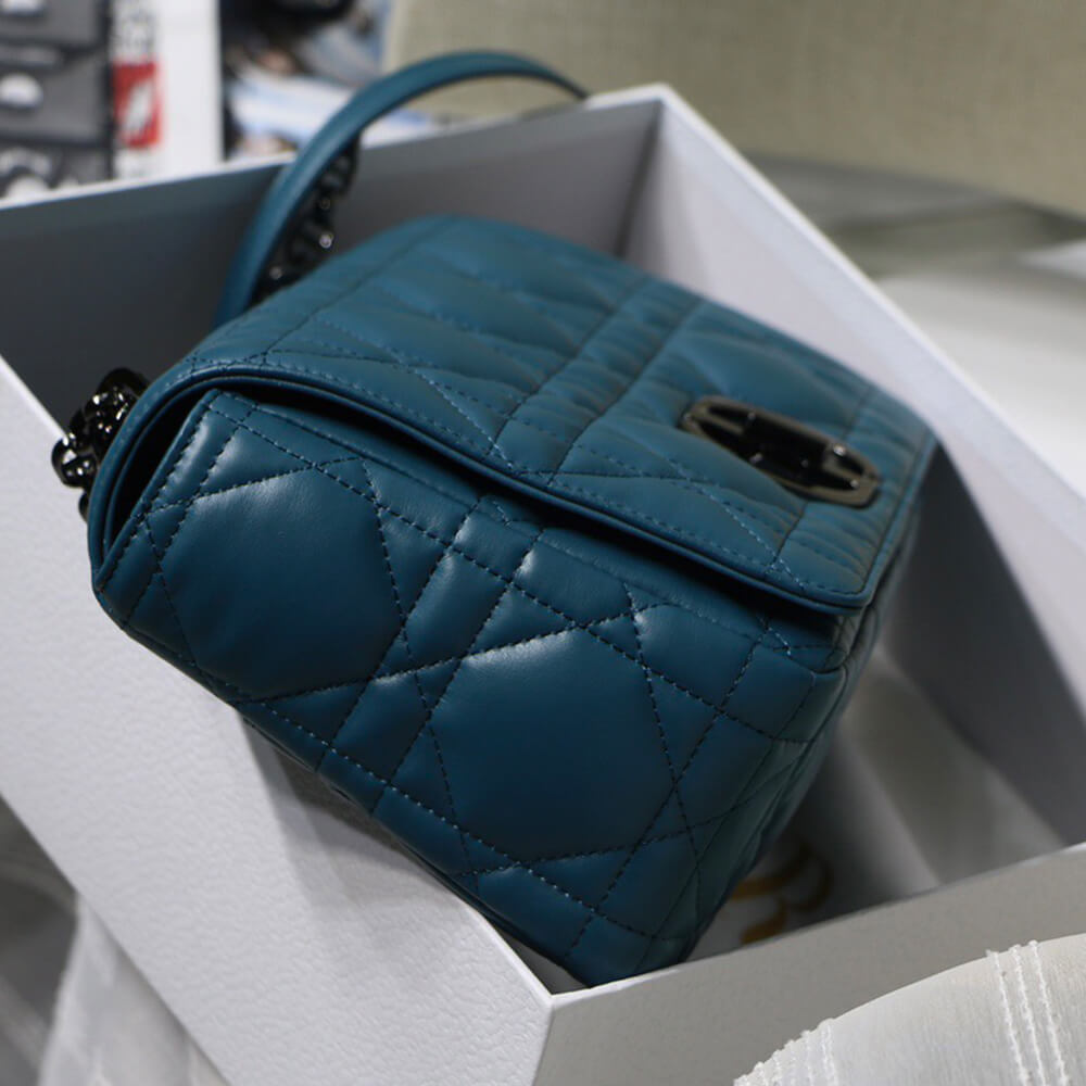 Large D10r Caro Bag