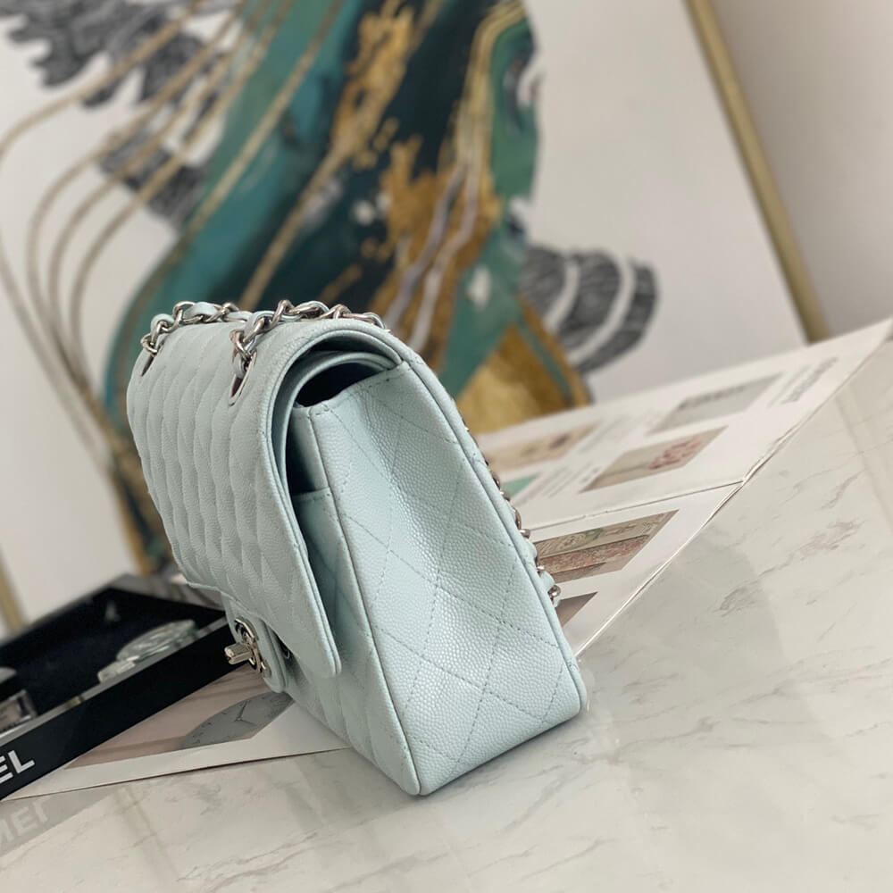 Ch**el Classic Flap Handbag
