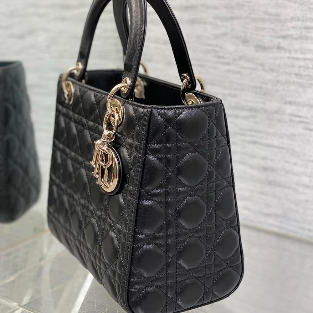 D10r MEDIUM LADY BAG