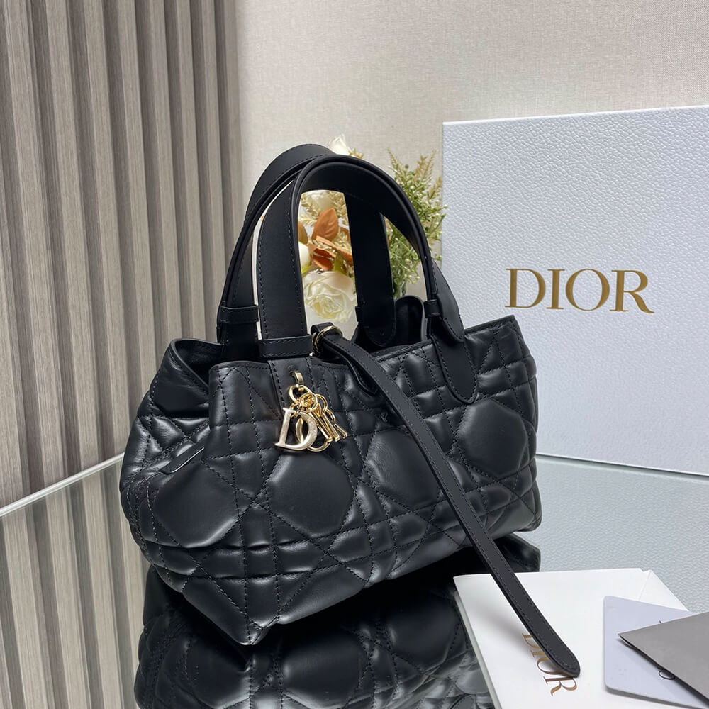 SMALL D10r TOUJOURS BAG(HIGH-END GRADE)