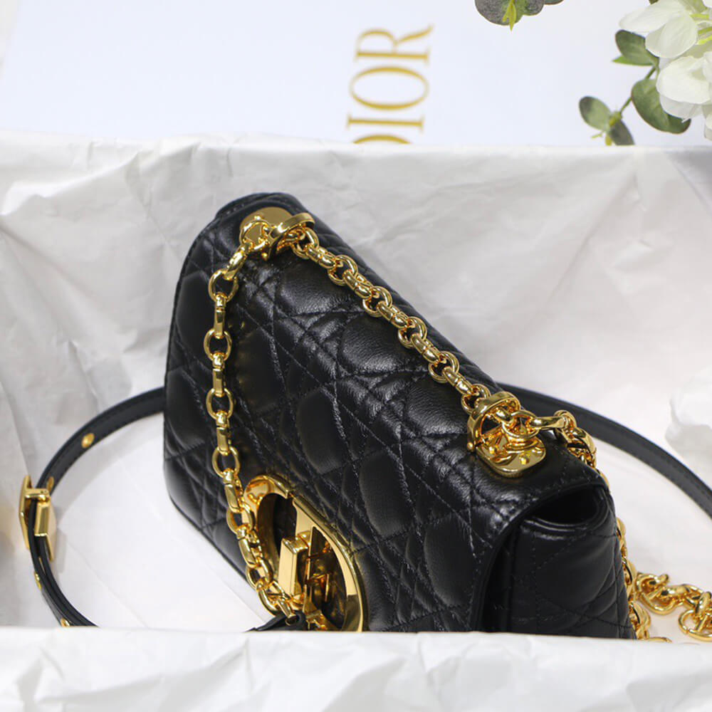 SMALL D10r CARO BAG