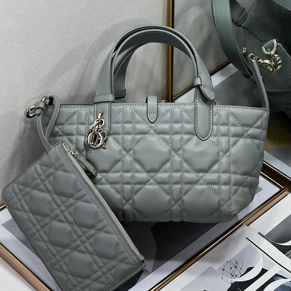 Small D10r TOUJOURS BAG