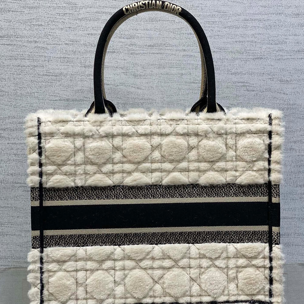Medium D10r Book Tote