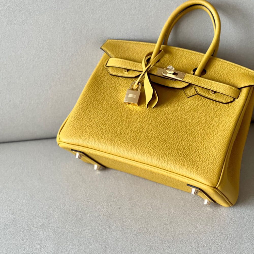 H**me5 BIRKIN BAG 25