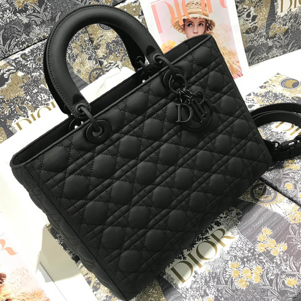 D10r LARGE LADY D10r BAG