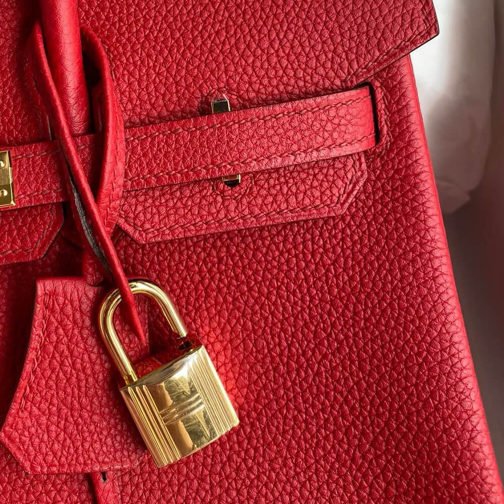 H**me5 BIRKIN BAG 25