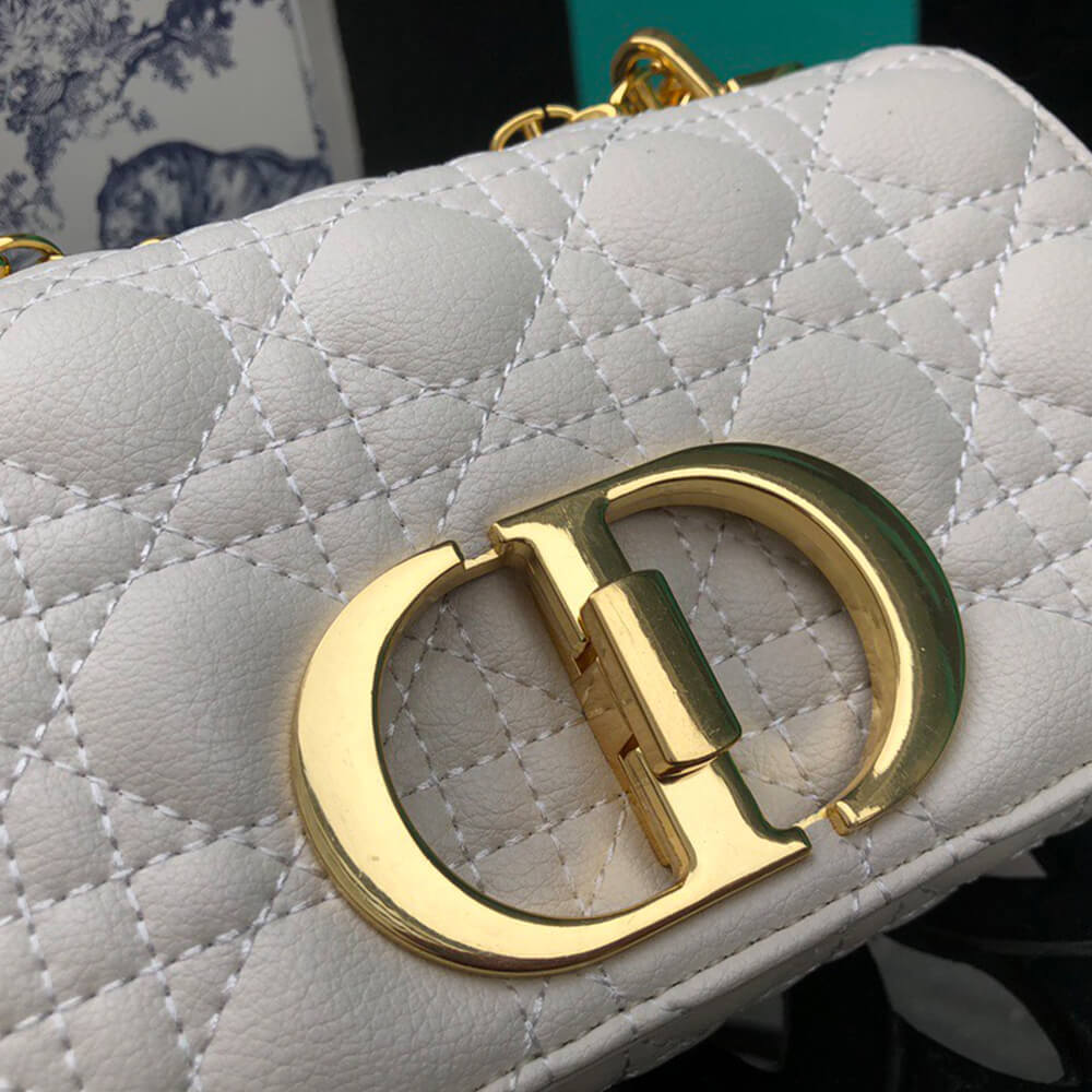 SMALL D10r CARO BAG
