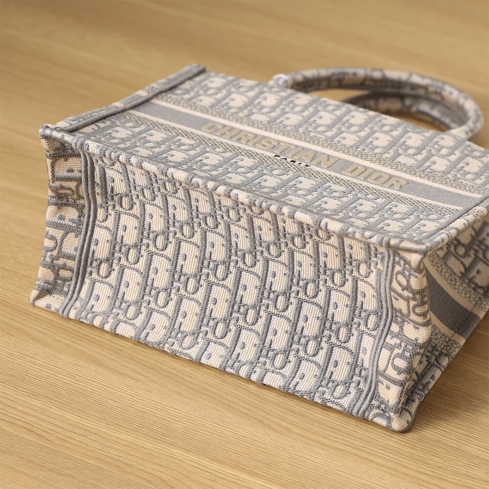 SMALL D10r BOOK TOTE