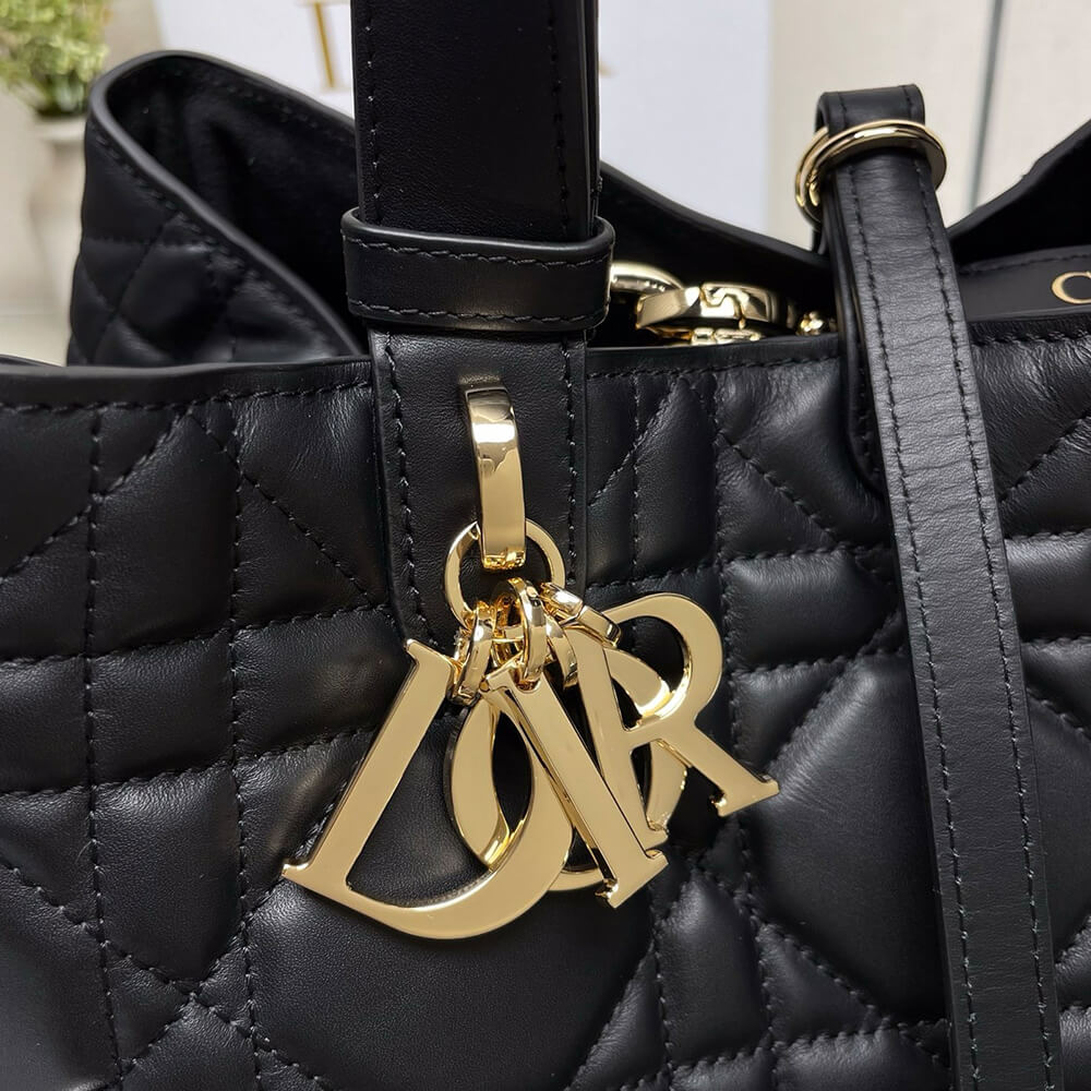 MEDIUM D10r TOUJOURS BAG(HIGH-END Grade)