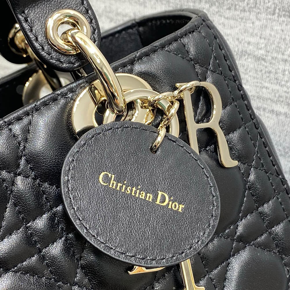 D10r MEDIUM LADY BAG