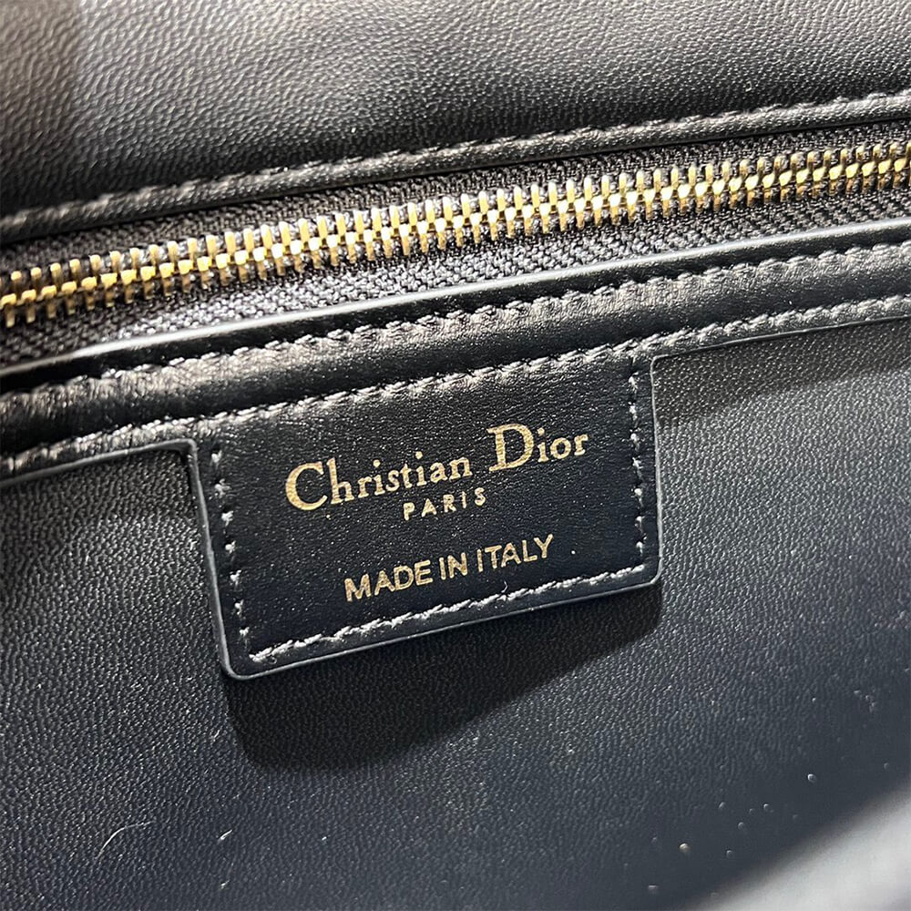 MEDIUM D10r CARO BAG