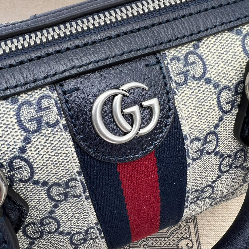Gvc*1 Ophidia mini top handle bag