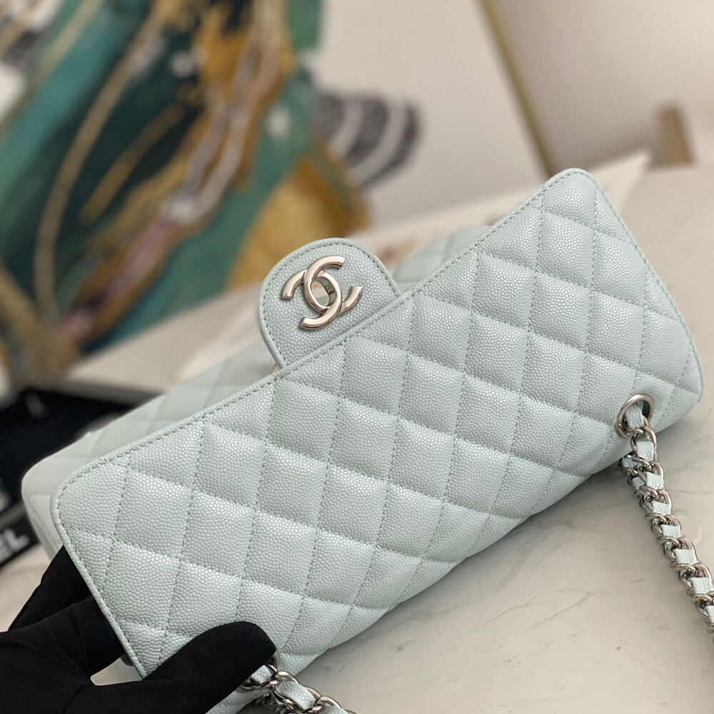 Ch**el Classic Flap Handbag