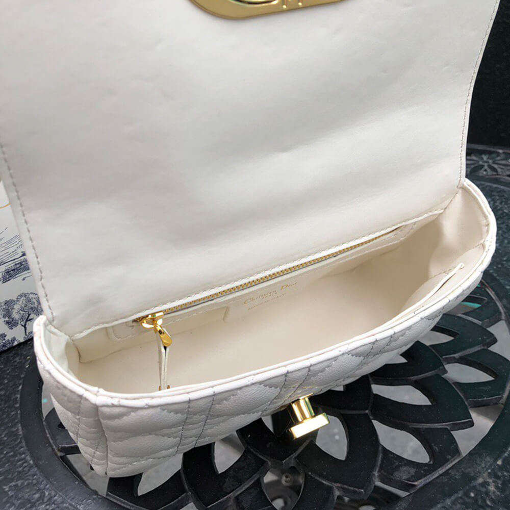 SMALL D10r CARO BAG