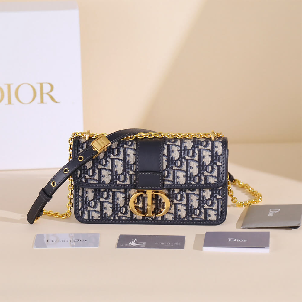 D10r 30 Montaigne East-West Bag with Chain