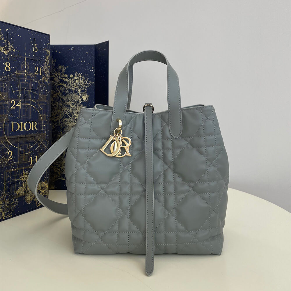 Medium D10r Toujours Vertical Tote Bag(high-end grade)