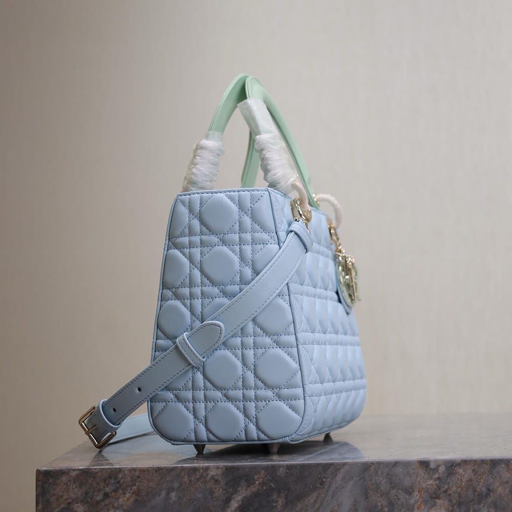 Medium Lady D10r Bag