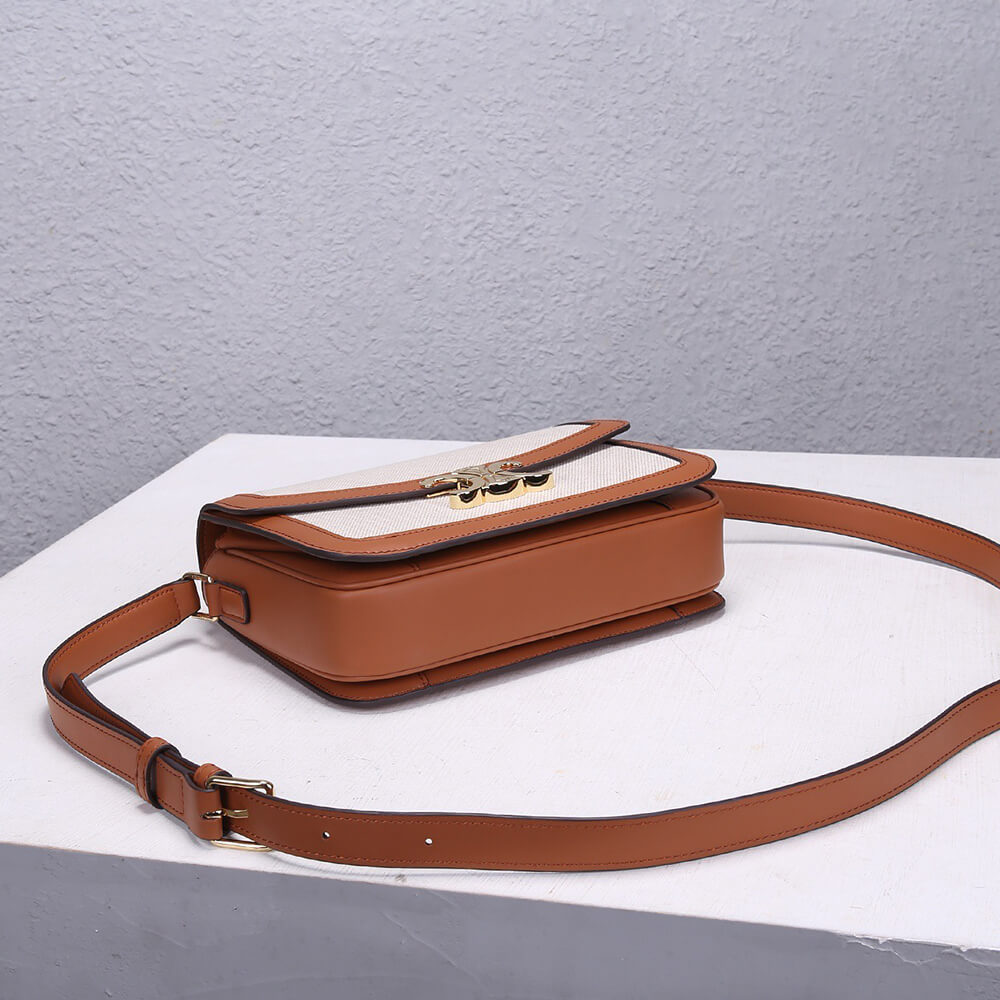 Ce1i*e CLASSIQUE TRIOMPHE BAG IN TRIOMPHE CANVAS AND CALFSKIN