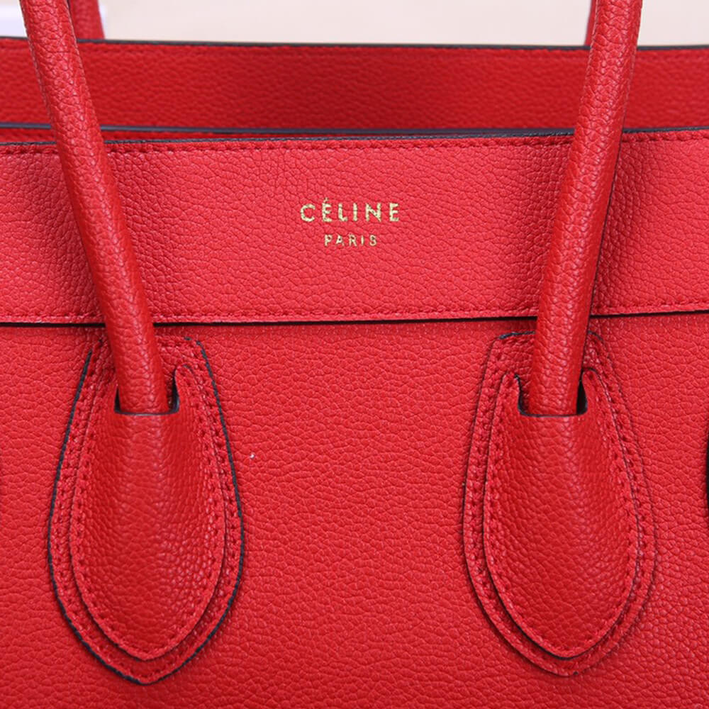 ce1i*e micro lU*gage handbag in calfskin