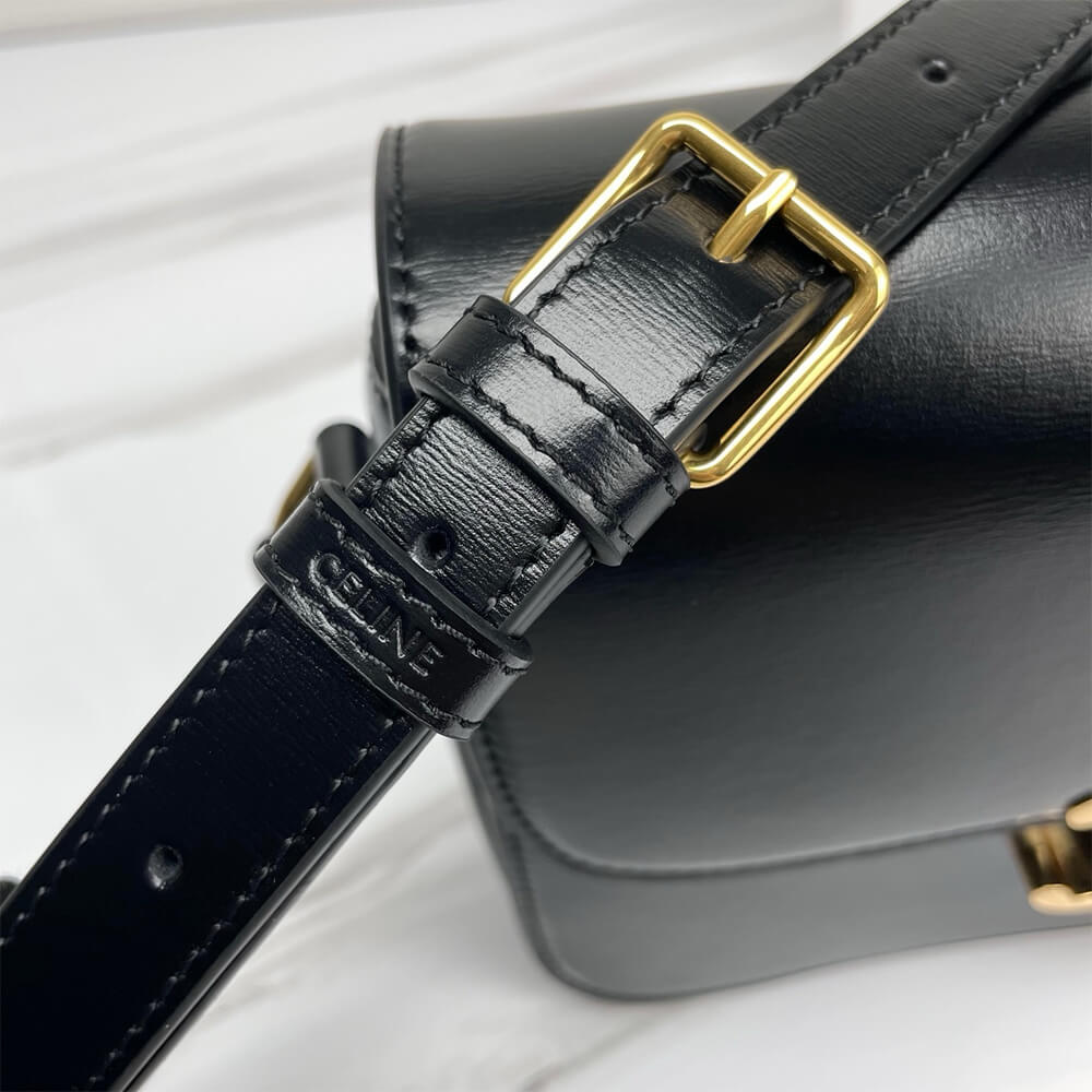 Ce1i*e CLASSIQUE TRIOMPHE BAG IN SHINY CALFSKIN(high-end grade)