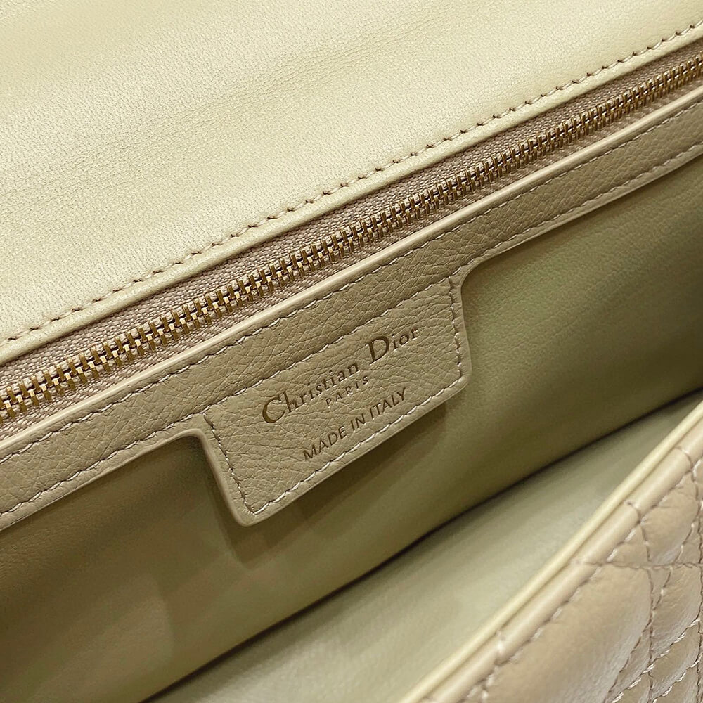 MEDIUM D10r CARO BAG(HIGH-END GRADE)