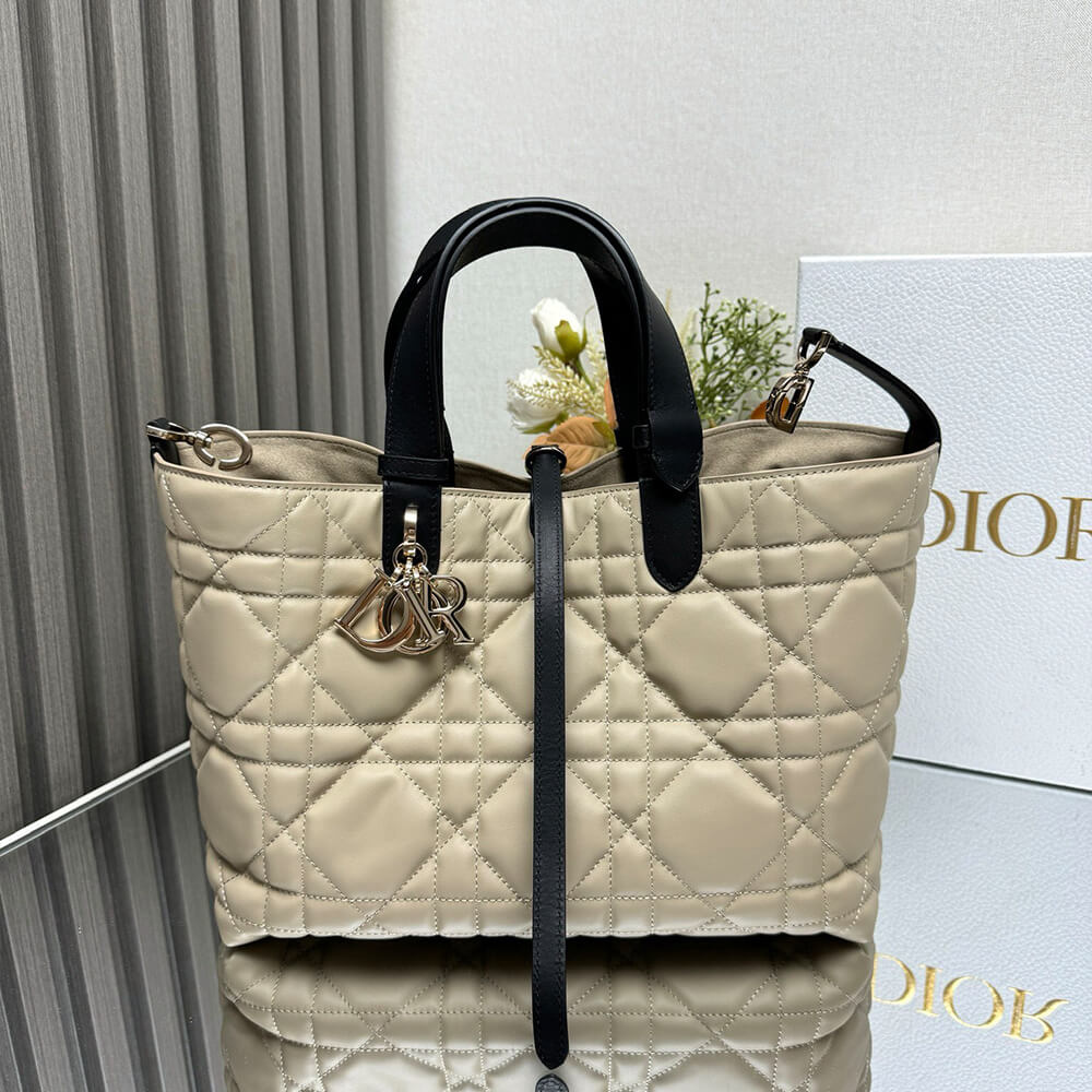 Medium D10r Toujours Bag