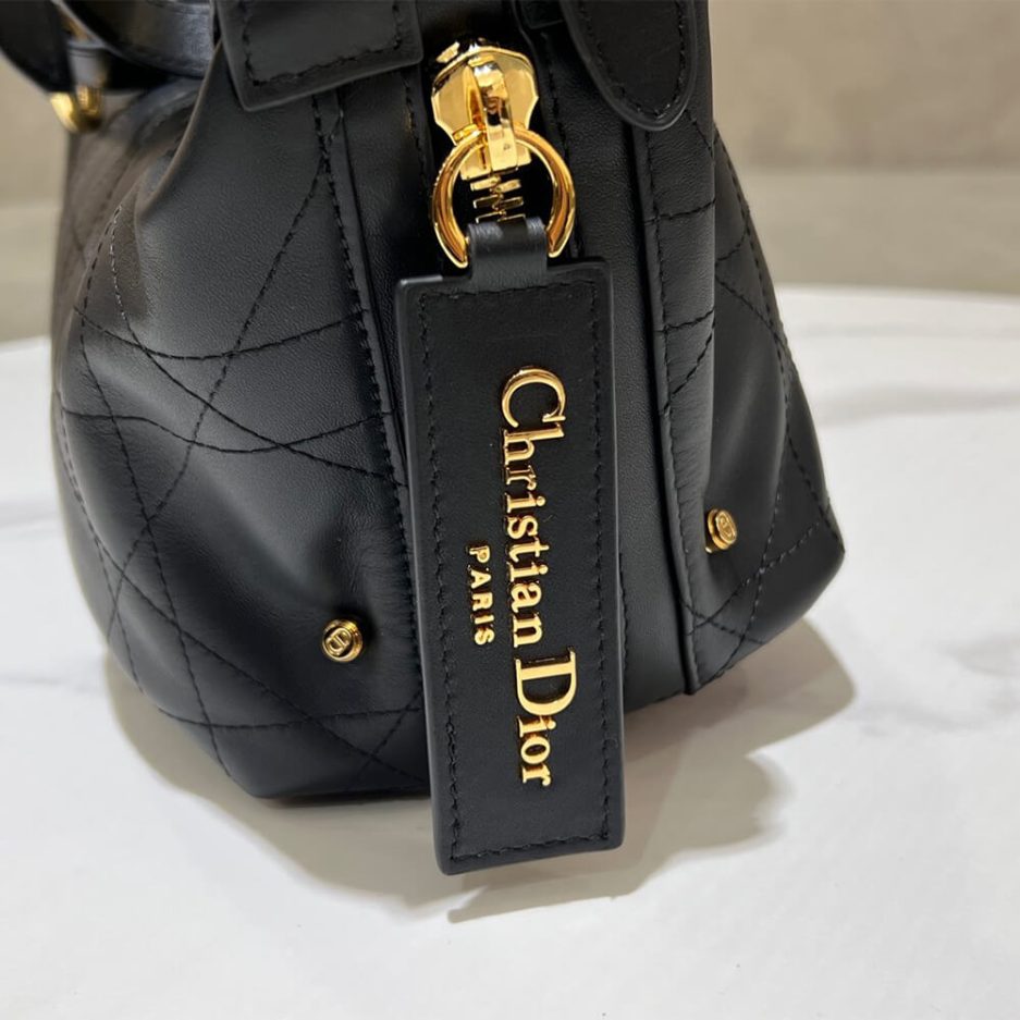 D10r Medium D-Journey Bag in Vintage Smooth Calfskin(high-end grade)