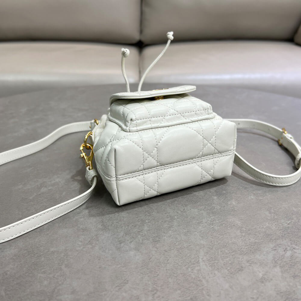 D10r Caro Nano Bucket Bag(HIGH-END GRADE)
