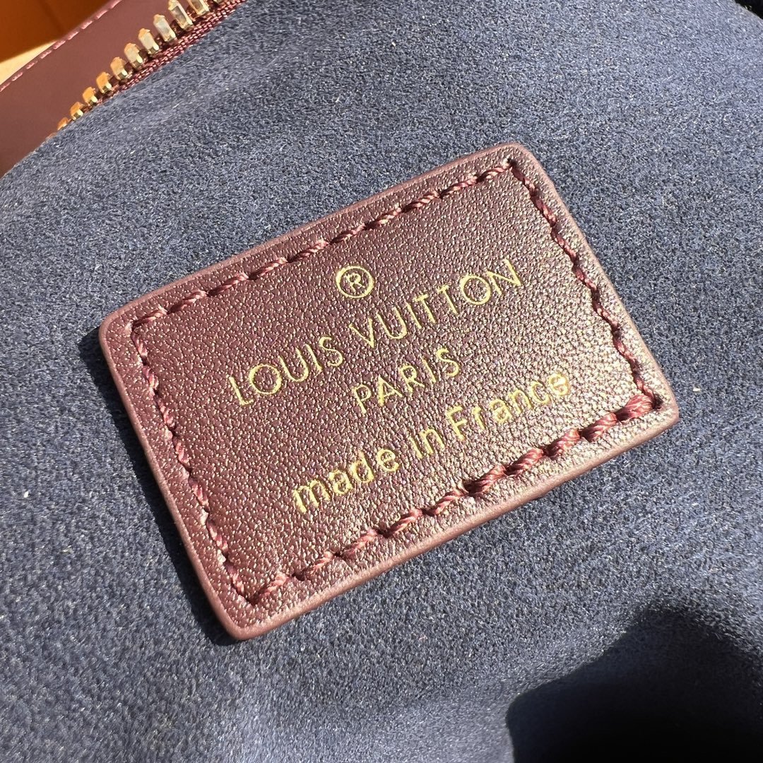 LV Coussin Hobo MM(high-end grade)