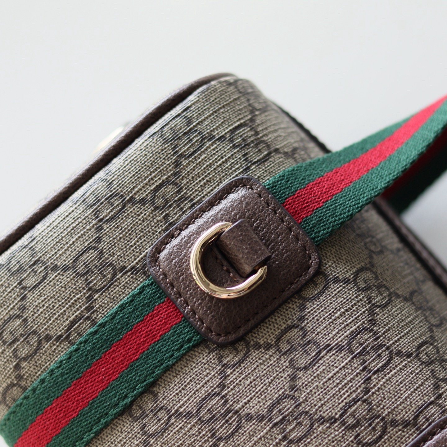 Gvc*1 GG mini bag