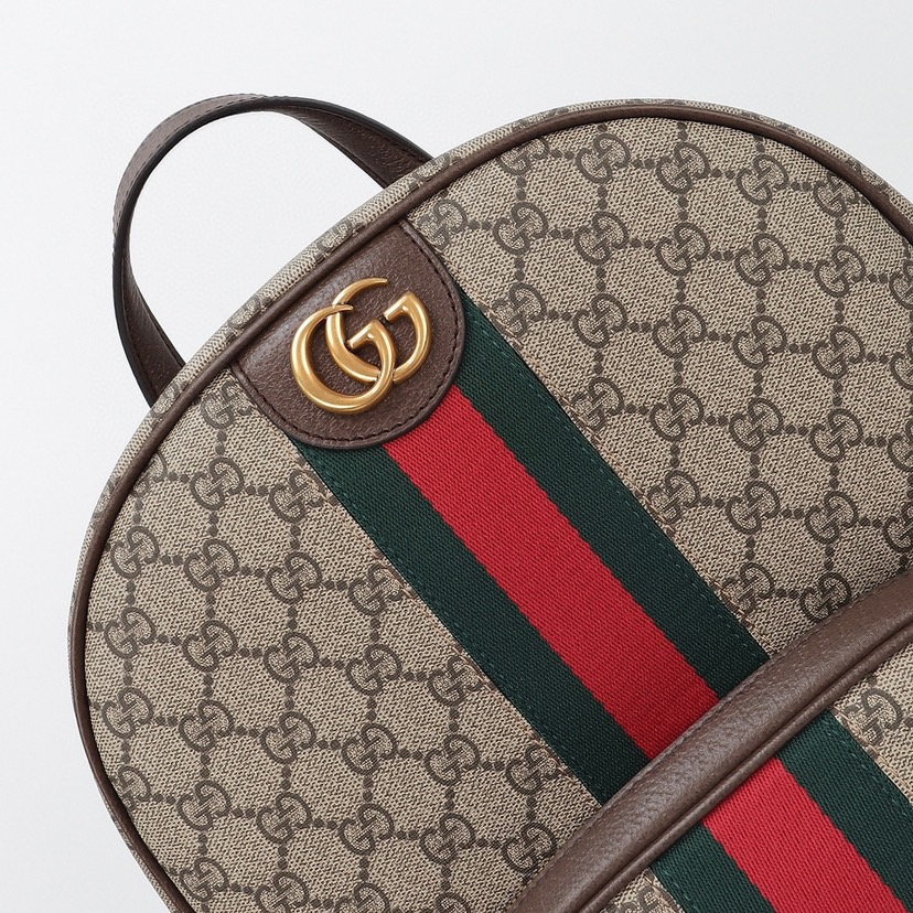 Gvc*1 Ophidia medium backpack