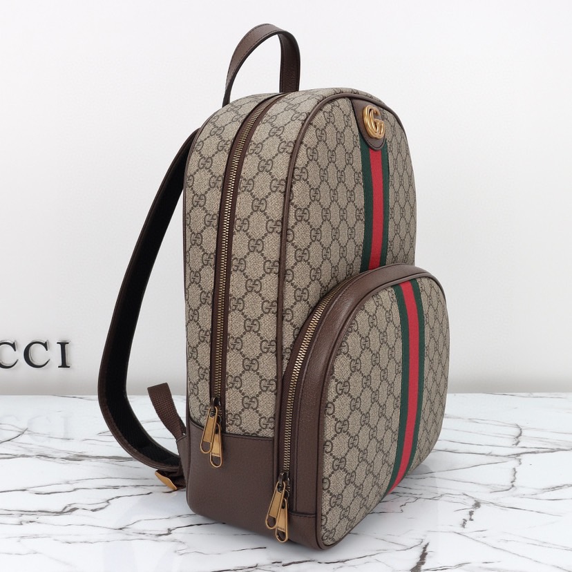 Gvc*1 Ophidia medium backpack