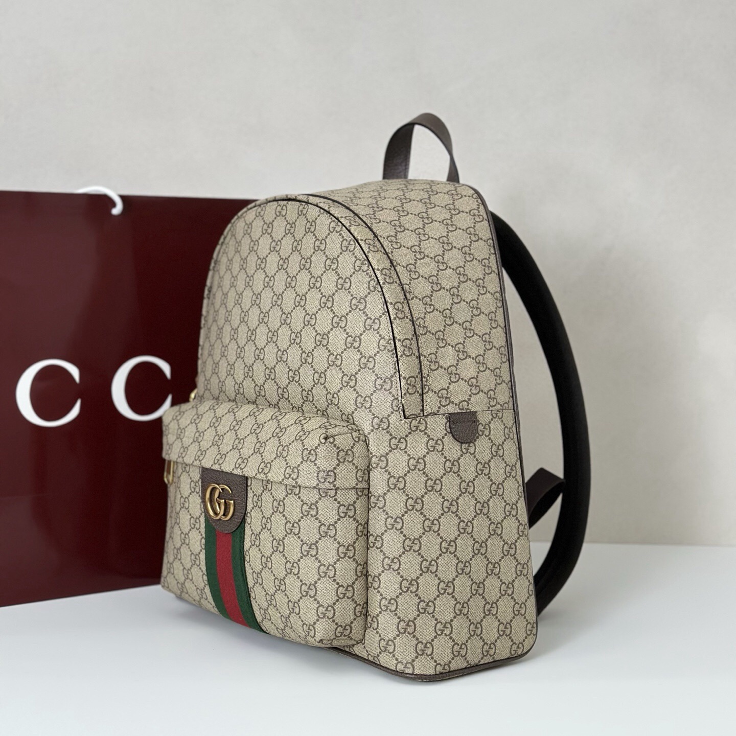 Gvc*1 Ophidia medium backpack