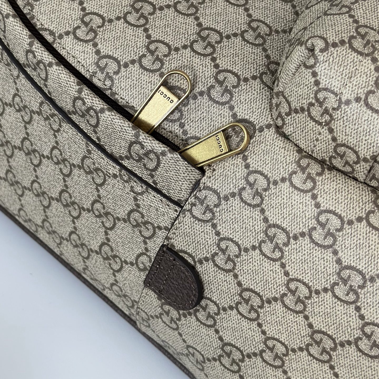 Gvc*1 Ophidia medium backpack