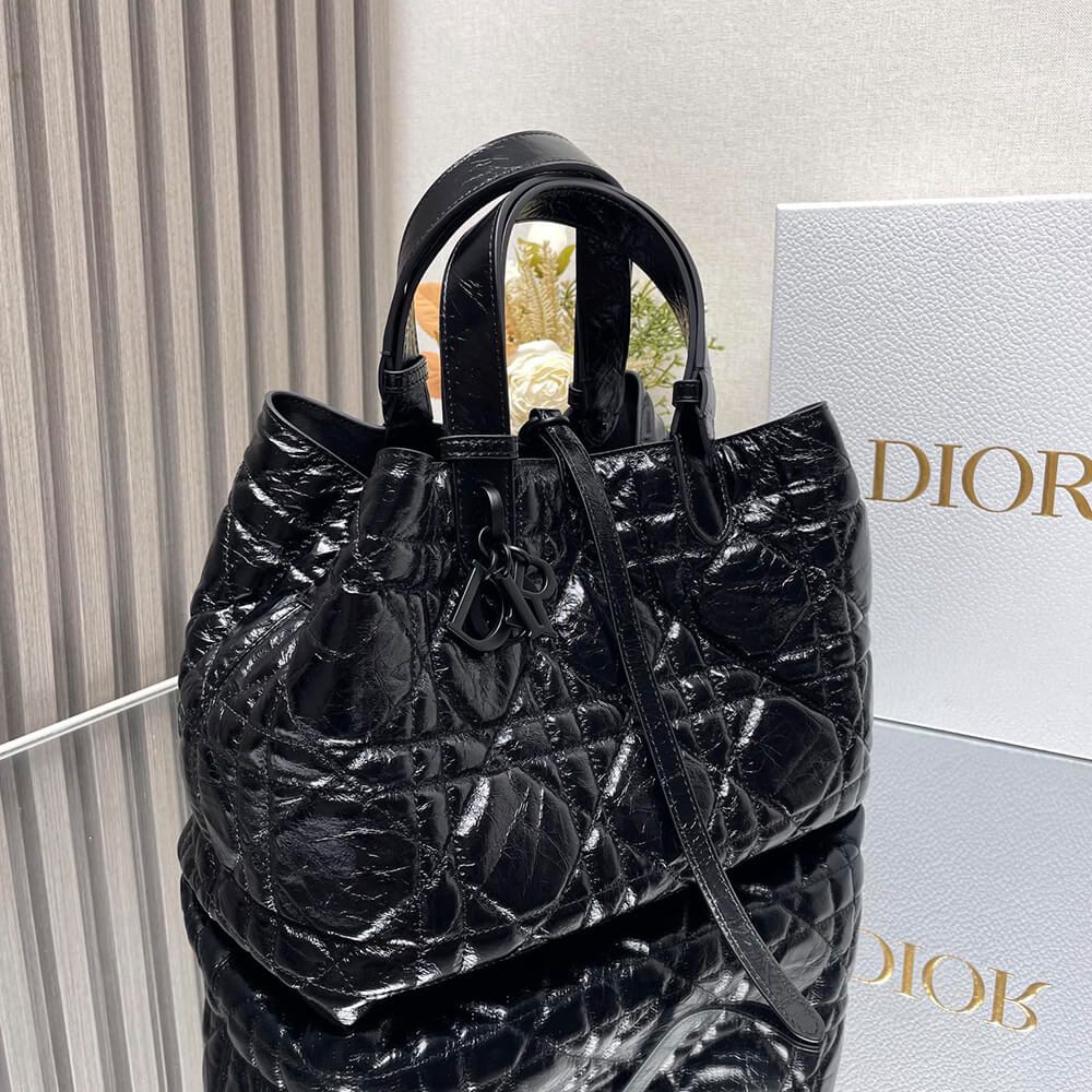 Medium D10r Toujours Bag