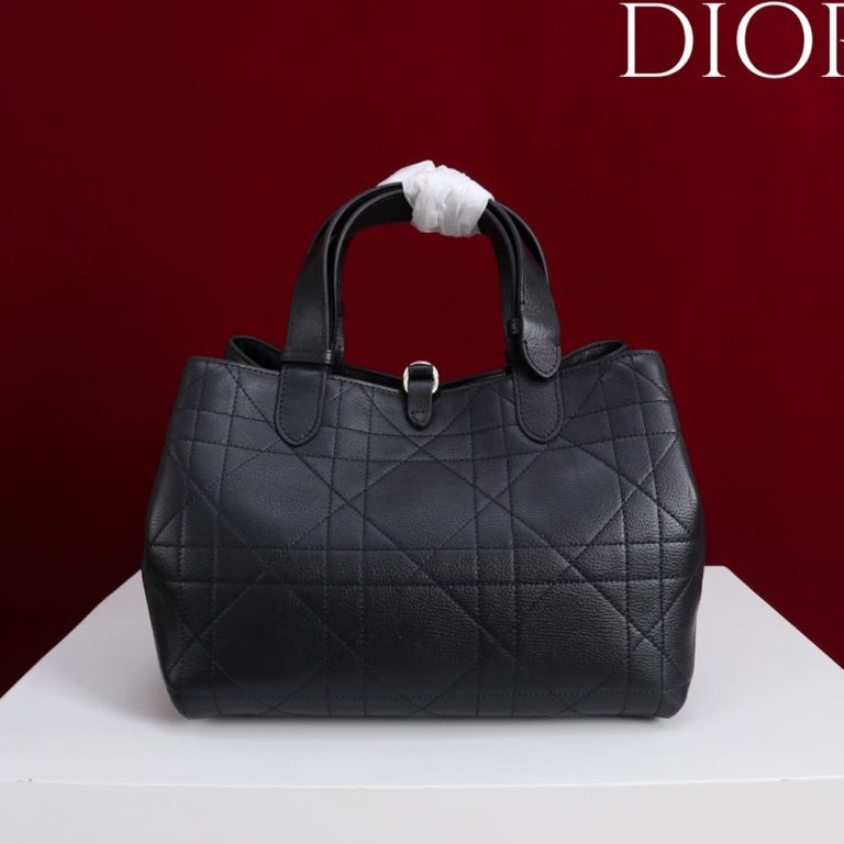 Medium D10r Toujours Bag