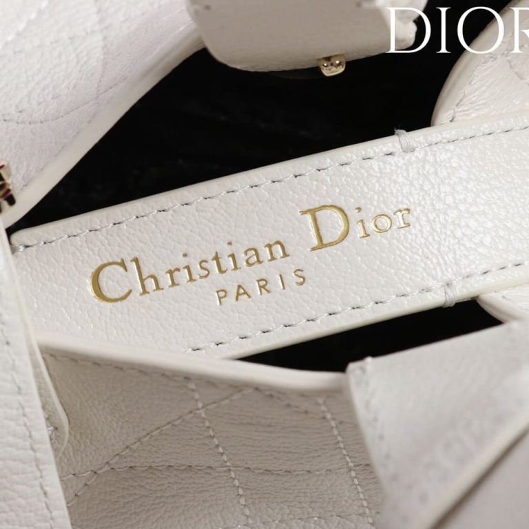 Medium D10r Toujours Bag