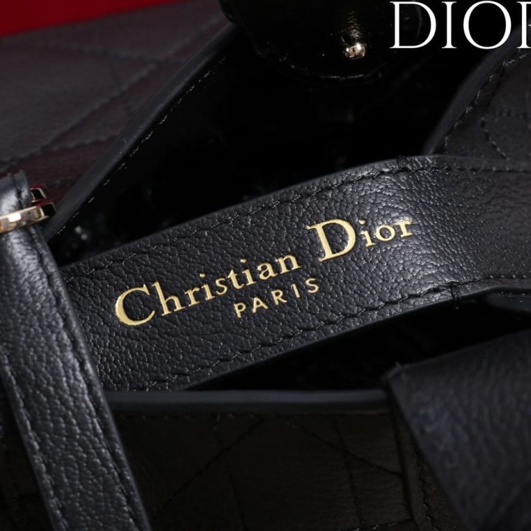 Medium D10r Toujours Bag