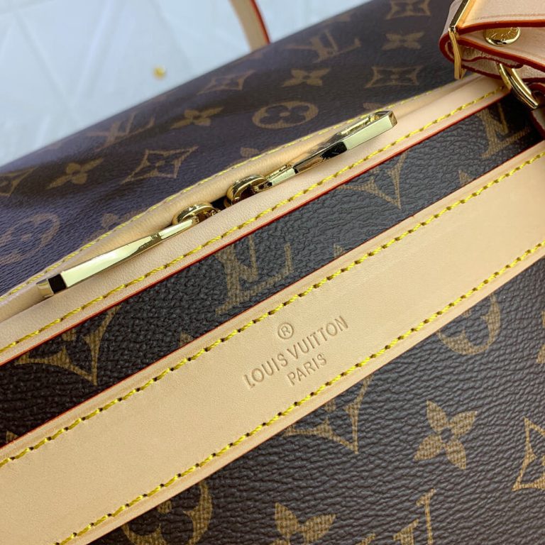 LV Dog Bag