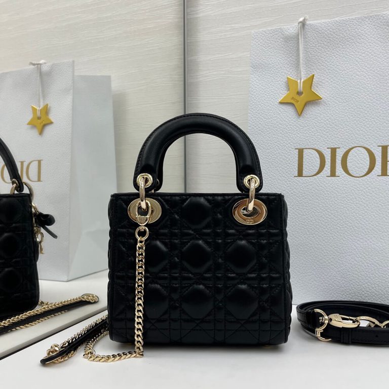 D10r Mini Lady D10r Bag with Chain(HIGH-END GRADE)