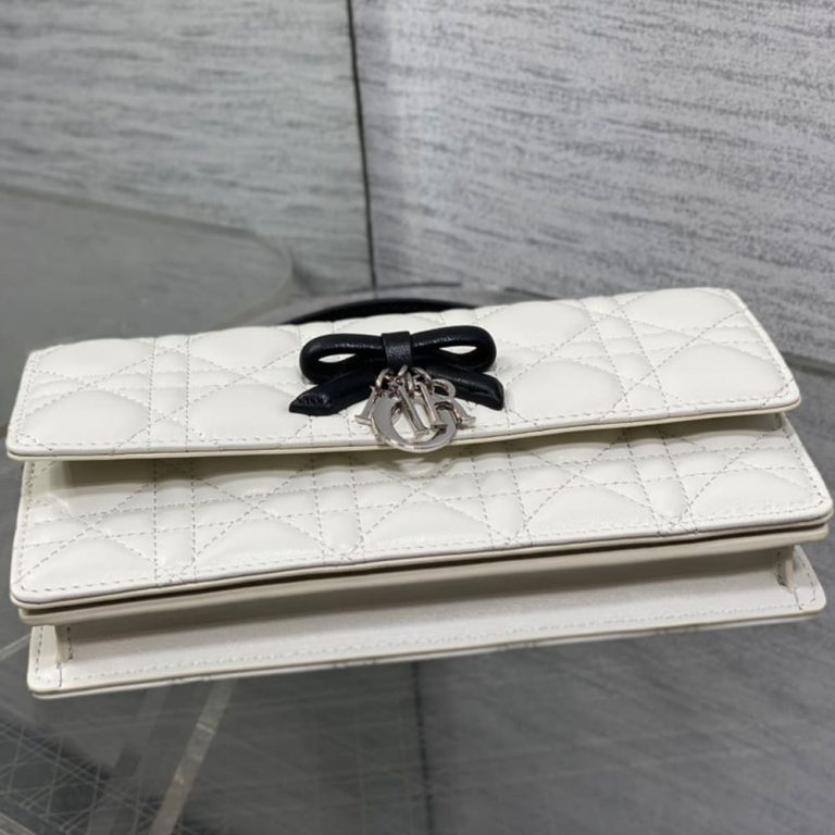 My D10r Mini Bag(HIGH-END GRADE)